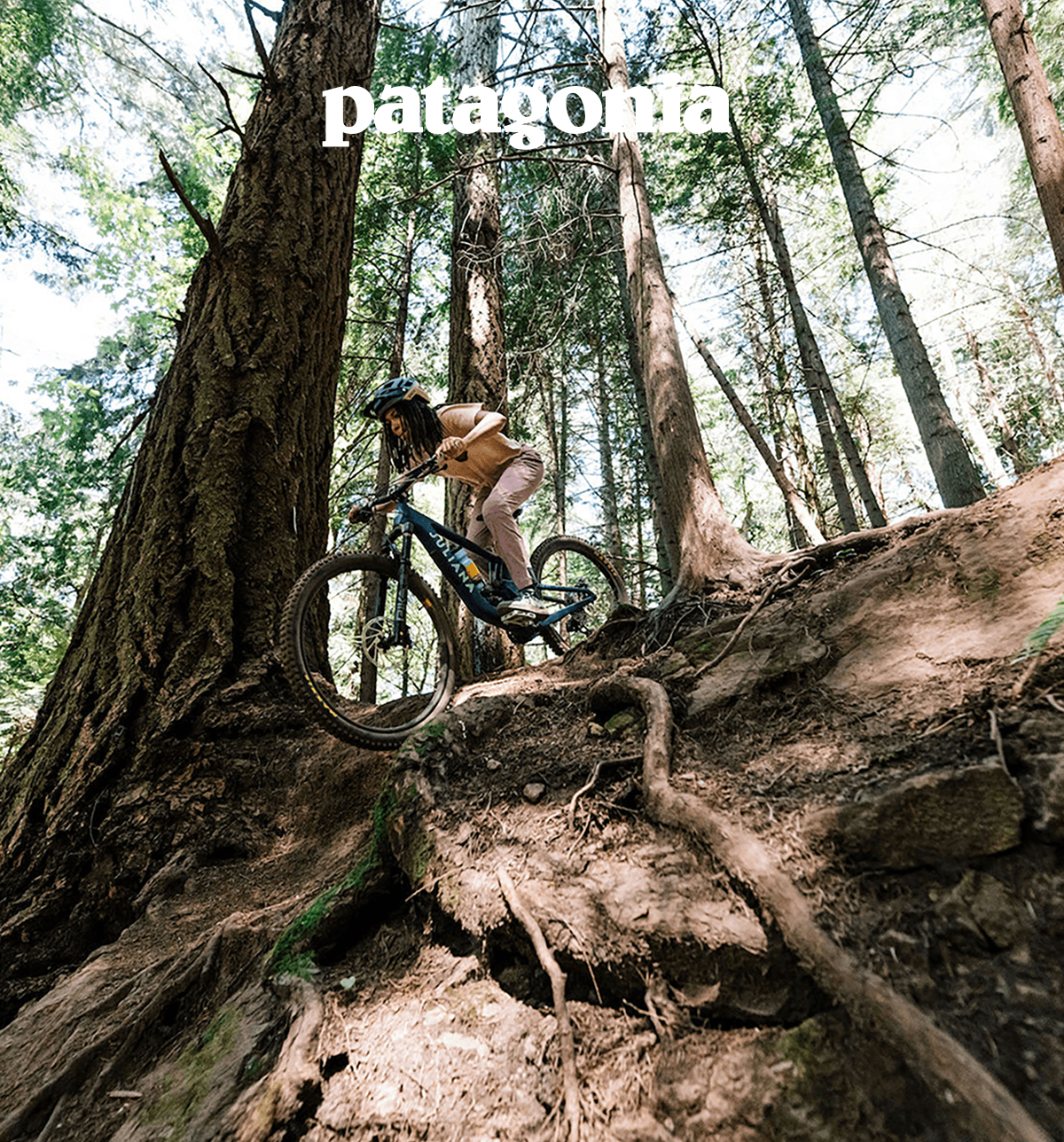 Patagonia. A person rides a mountain bike down a steep trail full of exposed roots. 
