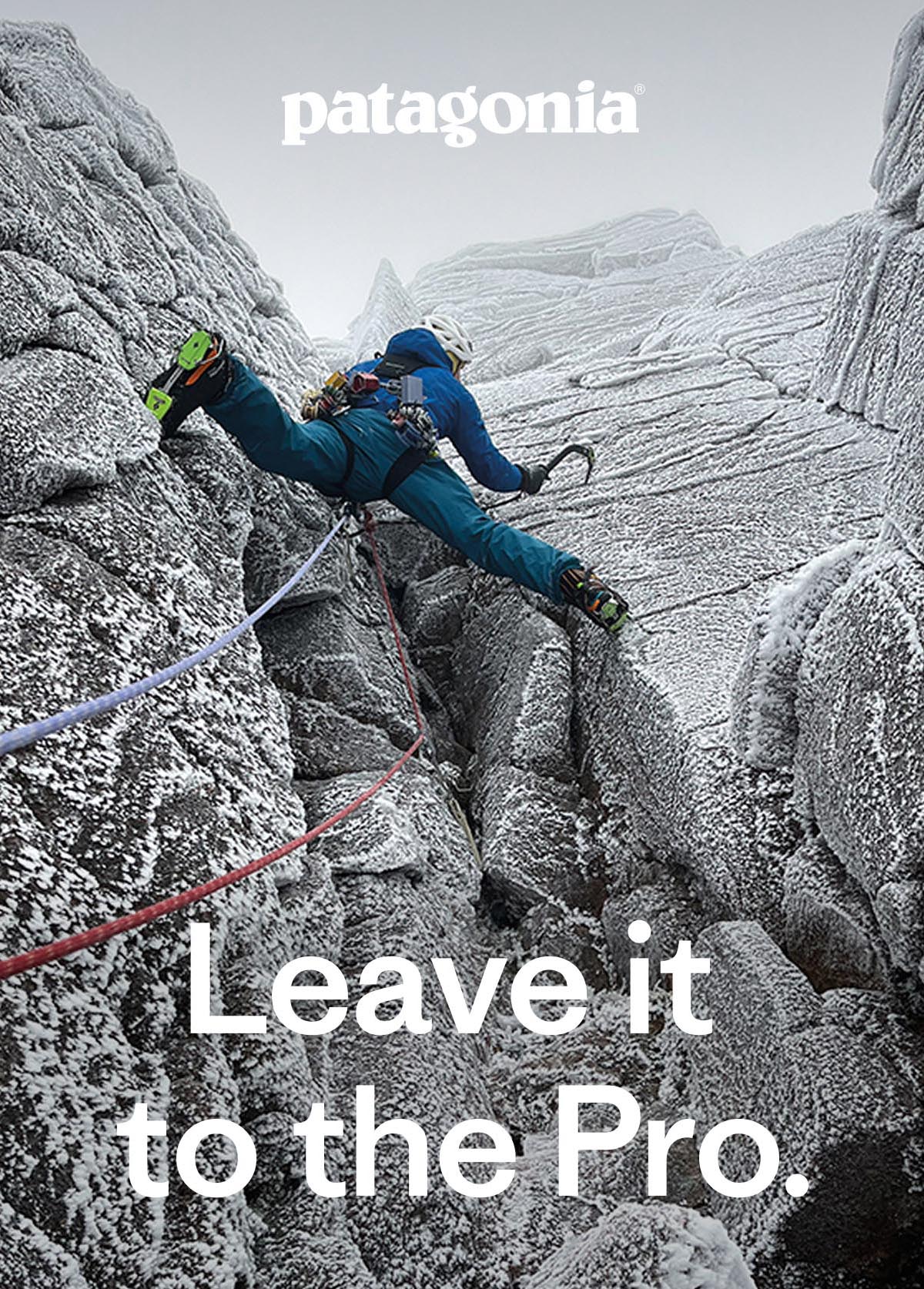 Leave it to the Pro.