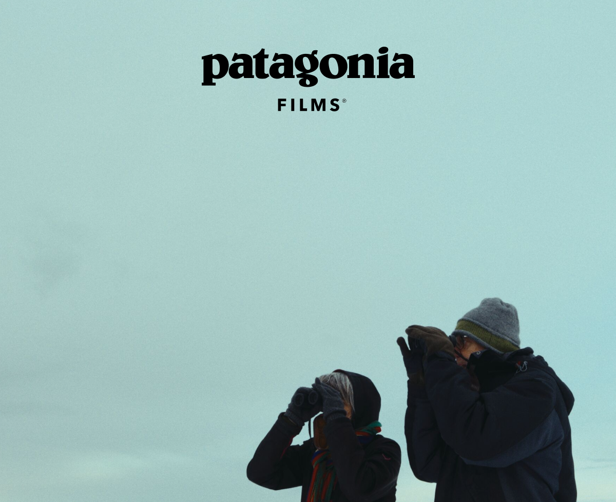 Patagonia.  A GIF rotating the word: wash, heat and repeat. 