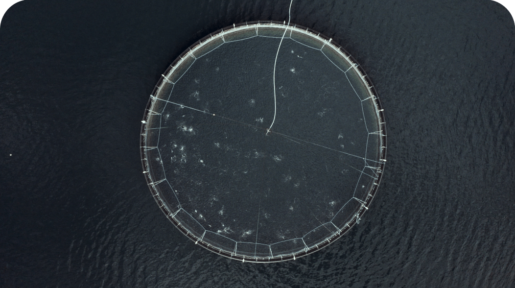 Overhead view of a circular fish farm net in dark water.